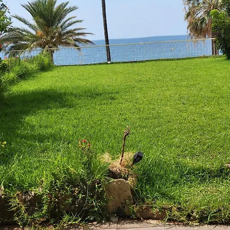 Du Sud Appartement *