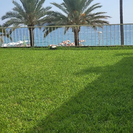 Du Sud Appartement Cannes